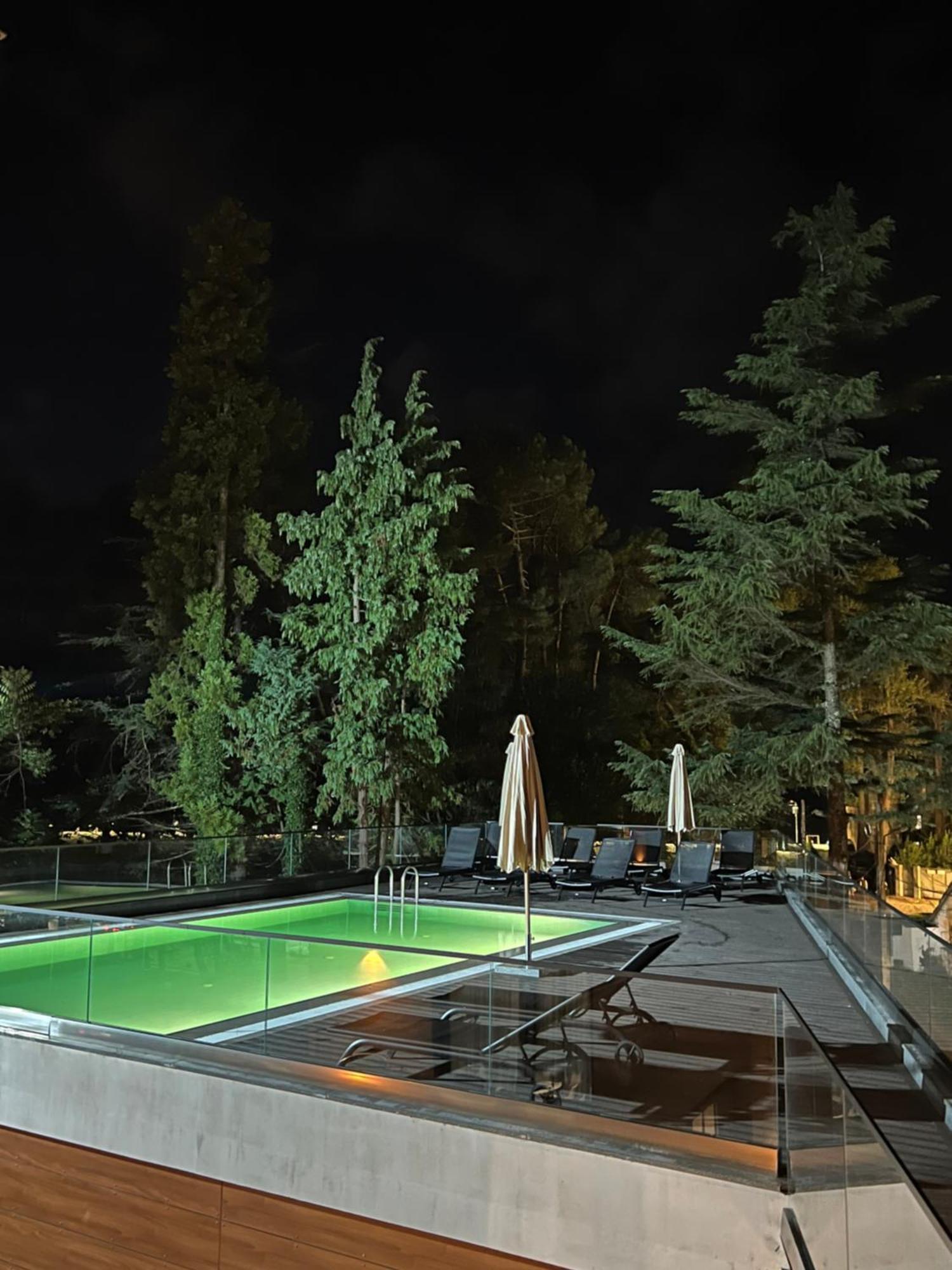 Ritsa Resort Уреки Екстериор снимка